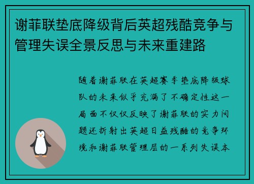 谢菲联垫底降级背后英超残酷竞争与管理失误全景反思与未来重建路 谢菲联垫底降级背后英超残酷竞争与管理失误全景反思与未来重建路